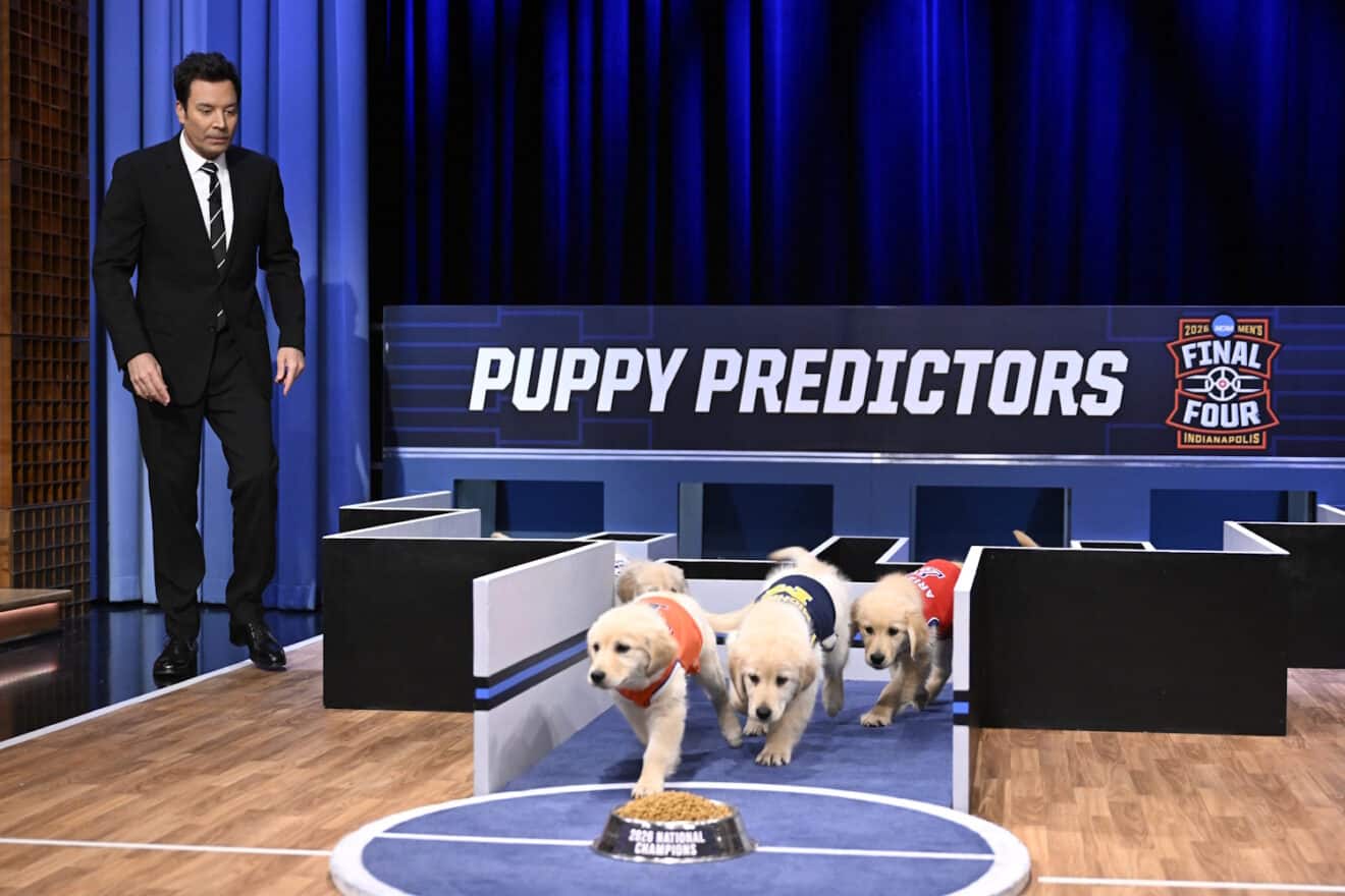 Tonight Show puppy predictors
