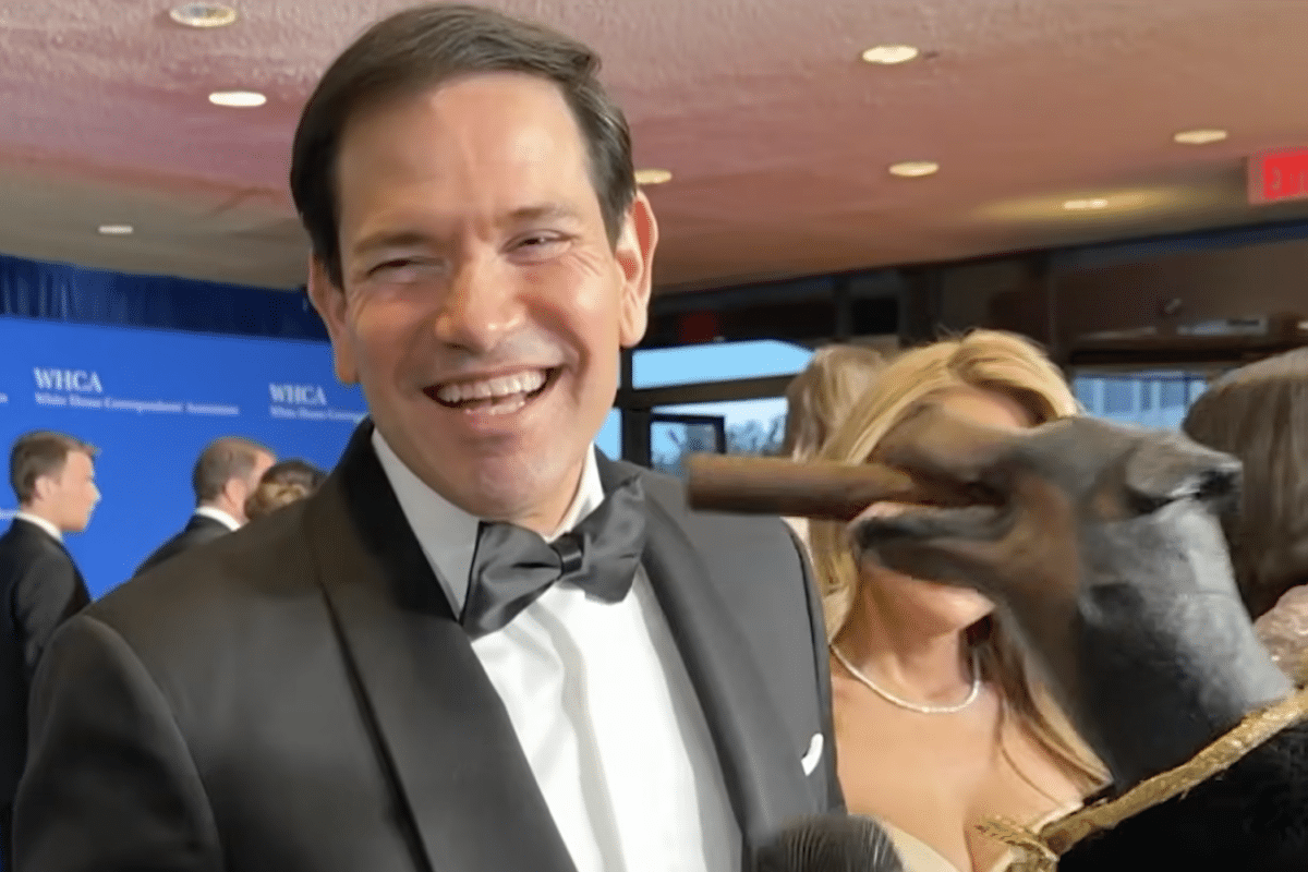 Triumph Dog Marco Rubio