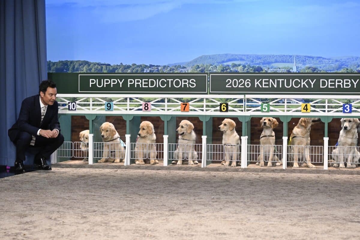 Fallon Kentucky Derby Prediction Puma