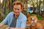 Conan O'Brien India